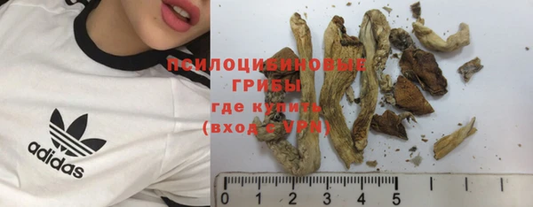 гашик Одинцово