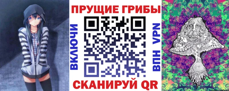 Галлюциногенные грибы Psilocybe  как найти закладки  Альметьевск 