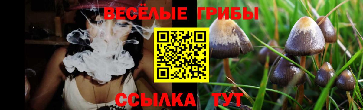 Галлюциногенные грибы прущие грибы Альметьевск